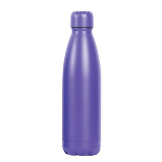 Purple Economy 720mL Metal Bottles